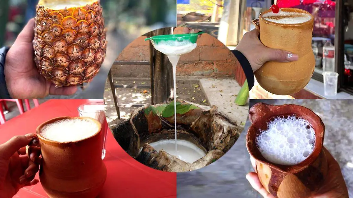 Los mejores lugares para tomar pulque en SLP